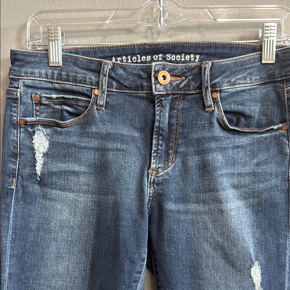 Articles Of Society Denim - Articles Of Society Blue Skinny Jeans with Distressed Details